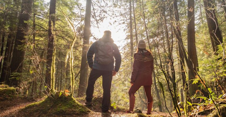 Baño de Bosque en México