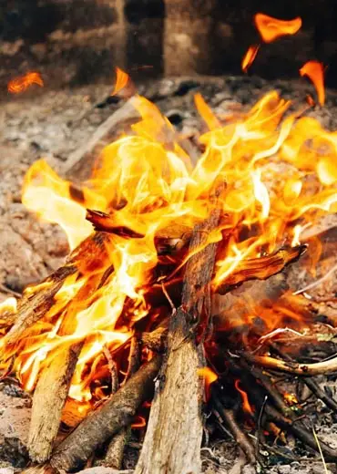Baños de Bosque en México