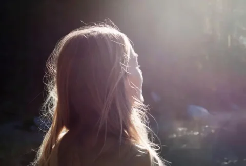 Baños de Bosque en México