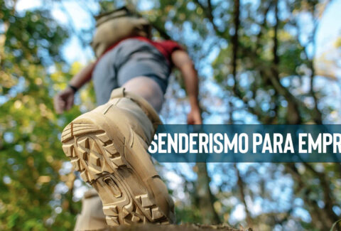 enderismo vs team building tradicional